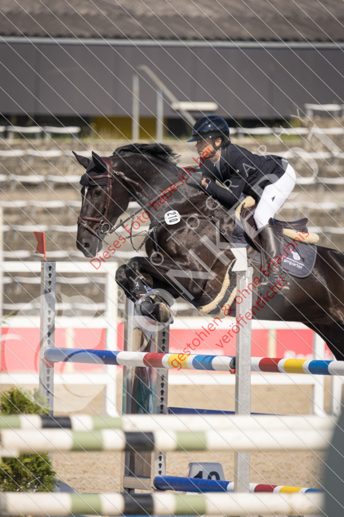 IMG_4019 | Sport-, Event- und Tierfotos in Profiqualität. Einfach auswählen, bestellen und herunterladen. Dein Moment – perfekt festgehalten.