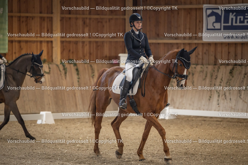 _D5A1122 | Emotionale Pferde- & People-Fotografie rund um Heidelberg, Leimen & Umgebung. Natürliche Fotos von Pferd, Mensch & Familie. Jetzt Termin sichern!