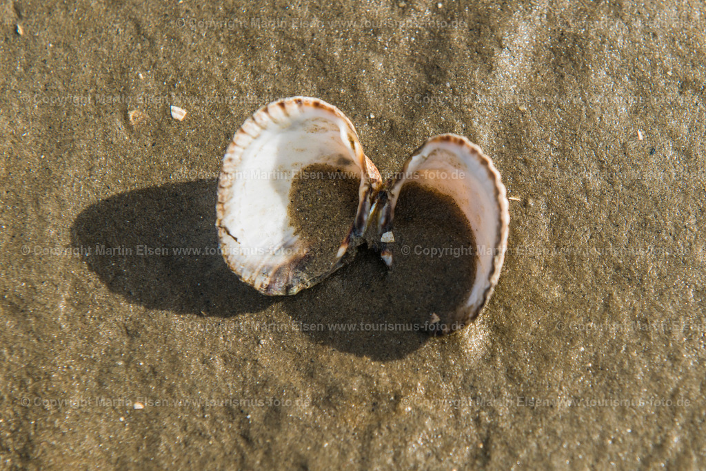 Cuxhaven_ELS1192260716 | Fotos aus den Touristenorten aus Norddeutschland. - Realisiert mit Pictrs.com