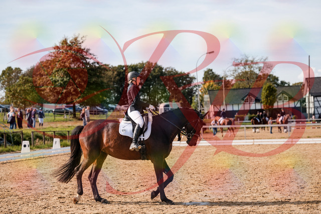 2026_10_03_Siefer-Hof_133648_Z63_98174001 | Professionelle Reitsport-, Turnier- und Eventfotografie von Robert Broda. Galerien mit ausgewählten und bearbeiteten Bildern direkt online ansehen und bestellen.