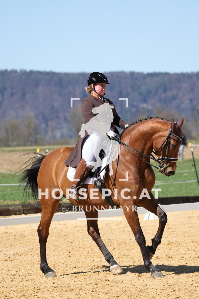 0P6A8358 | Willkommen bei Brunnmayr - Design & Fotografie – Ihrem Spezialisten für Reitturniere und Pferdeveranstaltungen in Oberösterreich, Salzburg und Bayern! Seit über 17 Jahren sind wir leidenschaftlich dabei.