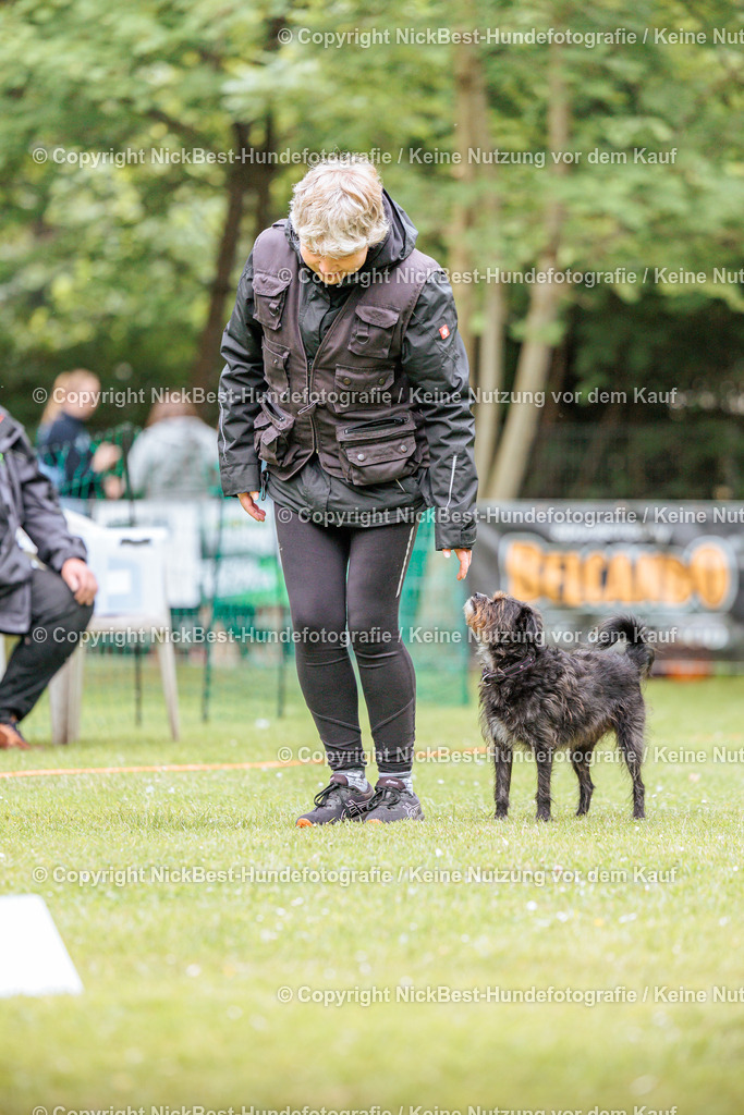 RO-Blumenthal-2026-Nickbest-Hundefotografie-2432 | Dein Hund! Dein Moment! Deine Erinnerungen! Hundefotografie in Bremen Blumenthal. Ich fange die besonderen Momente deines Vierbeiners ein – ob Indoor mit Blitzanlage oder in der freien Natur. Sicher dir dein Moment und dein Termin für eure Erinnerungen.