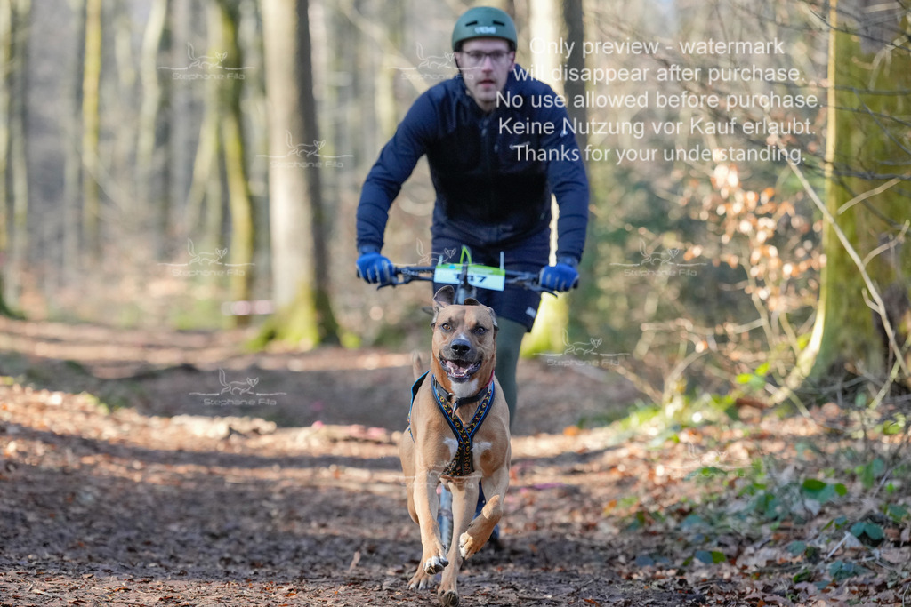 Scooter_So_So-38 | stephaniefillaphotographie - Realisiert mit Pictrs.com