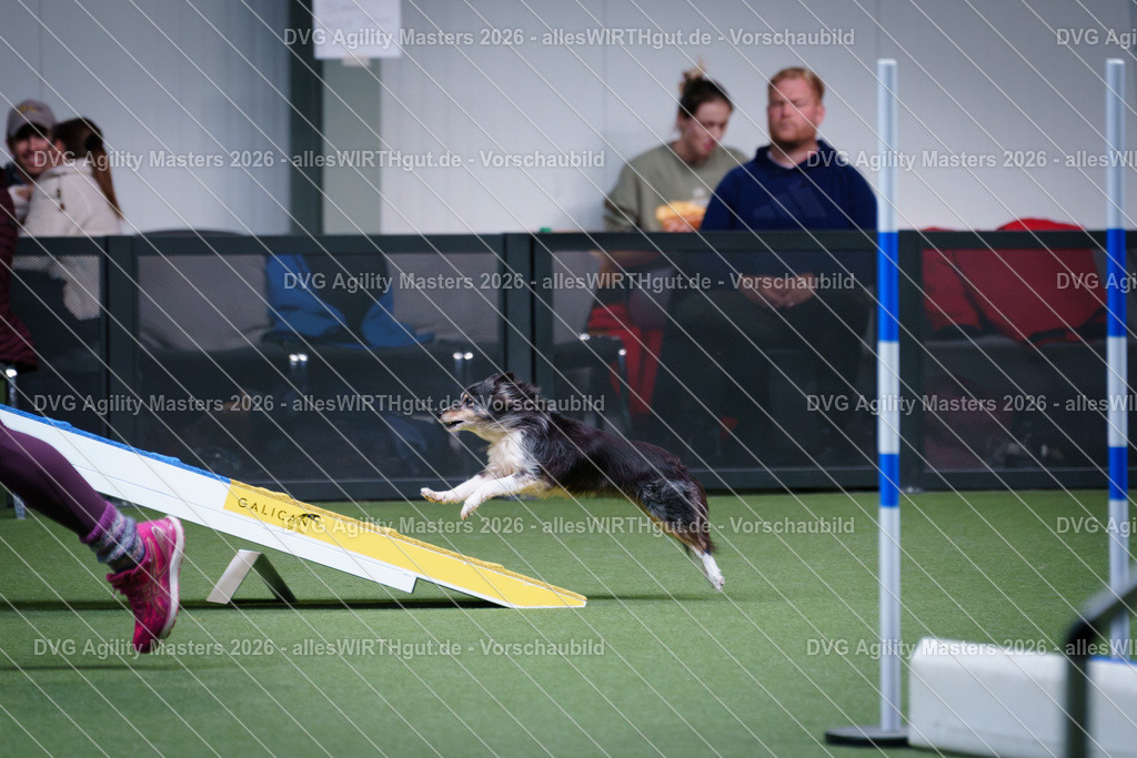 allesWIRTHgut_Tierfotografie-DVG_Agility_Masters_2026-13_47-7R503958 | Professionelle Tierfotografie in Mönchengladbach von Daniel Wirth (allesWIRTHgut). Liebevolle & natürliche Bilder von Hunden & Katzen für unvergessliche Erinnerungen.