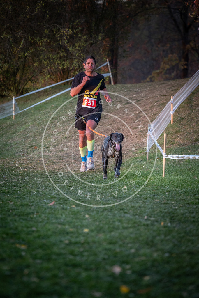 CaniXpix_0L8A2093 | Hundefotografie, Tierfotograf, Pfotenfotografie, Fotoshooting Hund, Hunde Portrait, Hundesport, Hundeportraits, Heideshooting, Hunde, Sportfotograf, Hundefotograf, Turnierhundsport, THS,  - Realisiert mit Pictrs.com