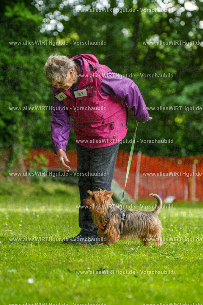 @allesWIRTHgut_Tierfotografie - www.allesWIRTHgut.de - 122153-7R508898 | Professionelle Tierfotografie in Mönchengladbach von Daniel Wirth (allesWIRTHgut). Liebevolle & natürliche Bilder von Hunden & Katzen für unvergessliche Erinnerungen.