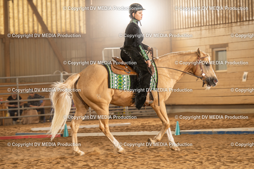 NID02753 | dv-media-shop - Realisiert mit Pictrs.com