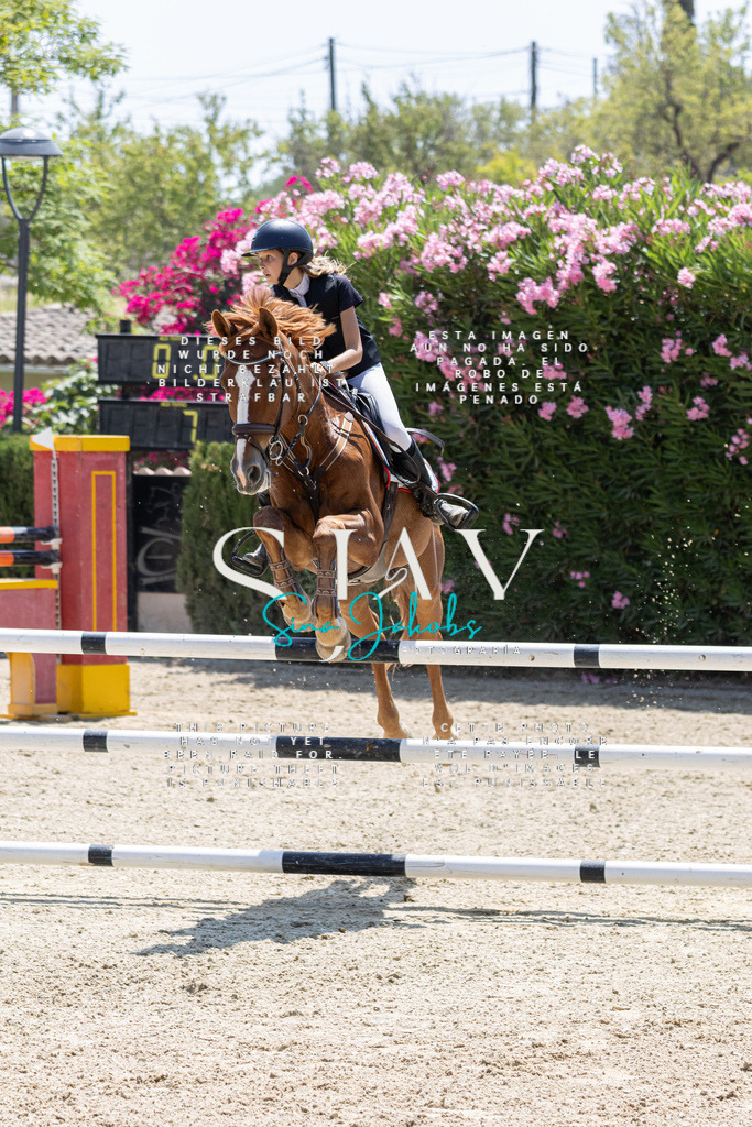 IMG_7940 | s-jay-photography - Realisiert mit Pictrs.com