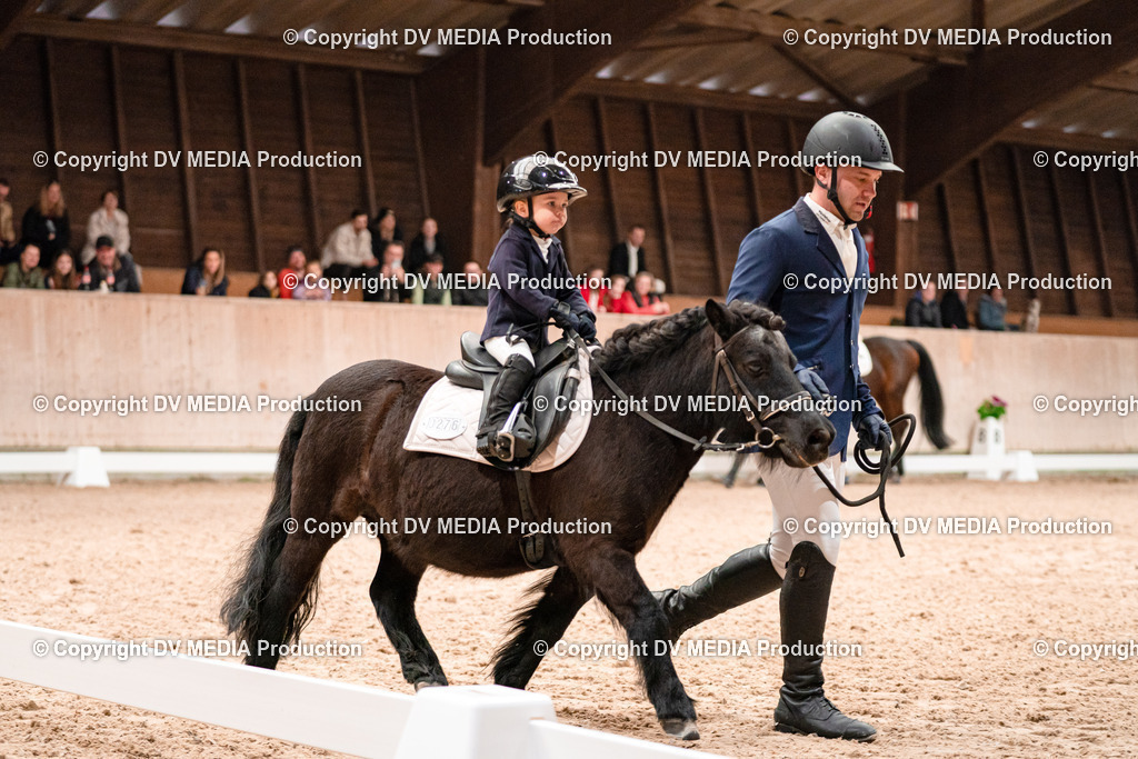 Dressur Tag 3-433 | dv-media-shop - Realisiert mit Pictrs.com