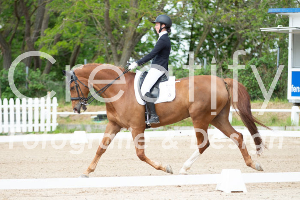 IMG_6124 | Creatify Fotografie