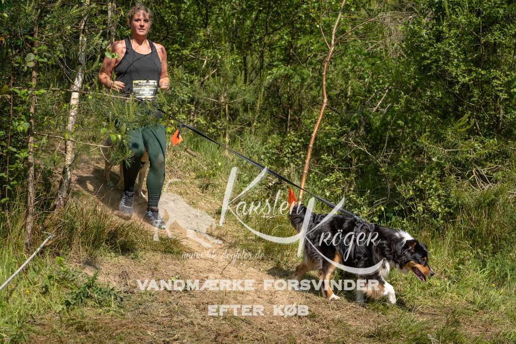 1016DKK990355 | kk-dogfotos