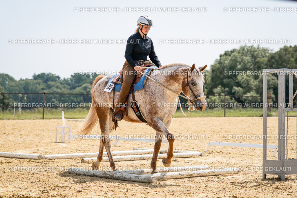 DSC00600 | Pferdegrafie