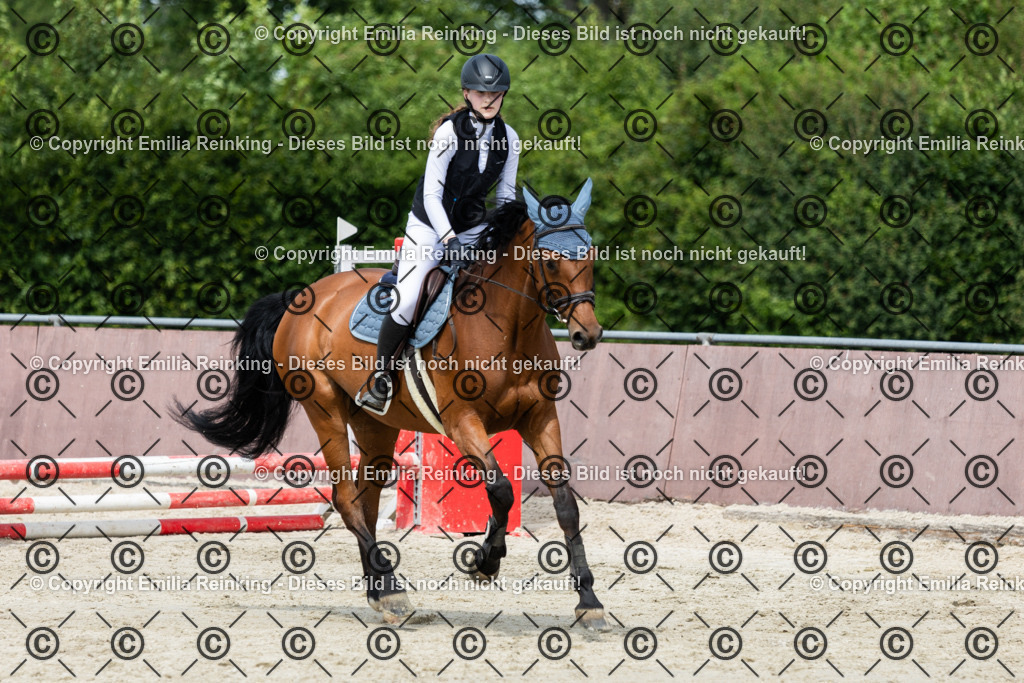 CL5A4183 | Emilia Reinking Fotografie - Realisiert mit Pictrs.com