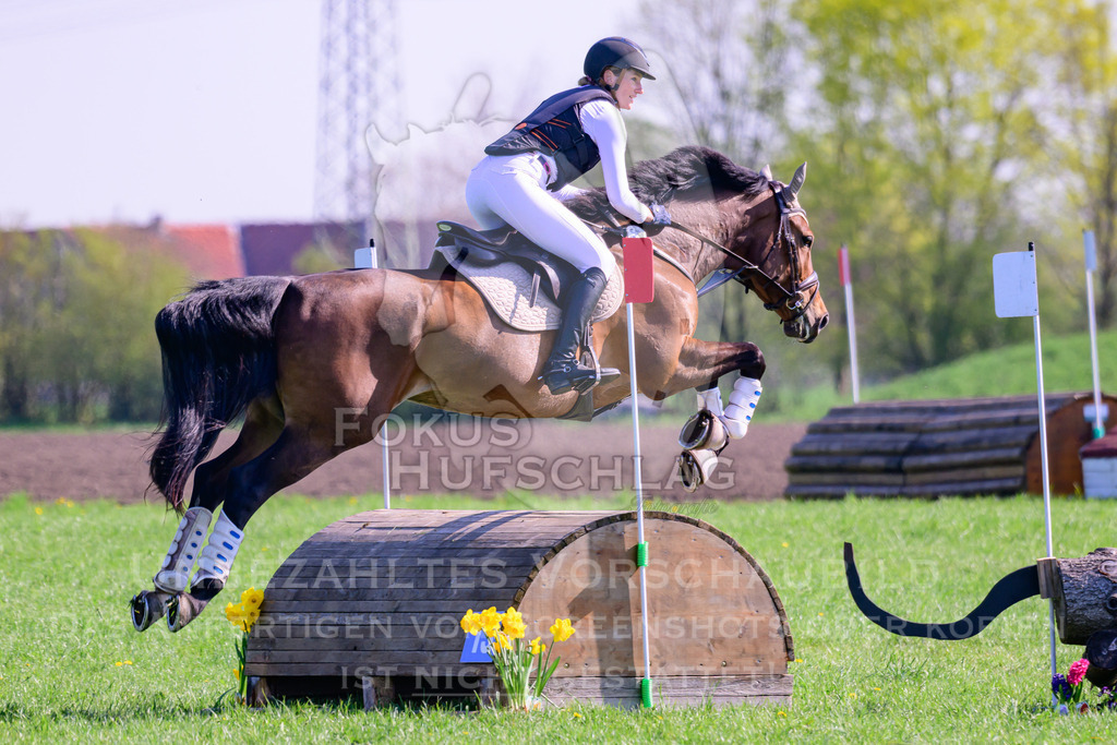 18042026-Gernlinden-03-0476 | Fokus Hufschlag Fotografie - Realisiert mit Pictrs.com