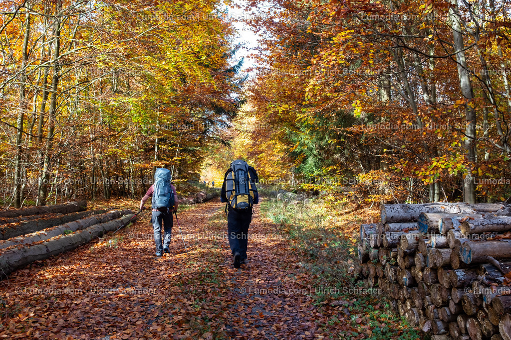 10049-13620 - Herbstwanderung im Harz | Stockfoto und Bilderpool mit Bildmaterial aus Deutschland, dem Harz, Halberstadt, Quedlinburg, Wernigerode und weltweit. Qualitativ hochwertige und professionelle Fotos anschauen und kaufen. - Realisiert mit Pictrs.com