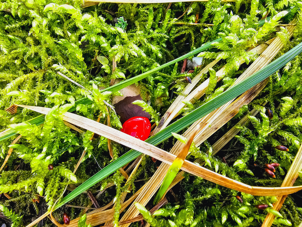 PSX_20230223_230641 | mtkfoto_ - Realisiert mit Pictrs.com