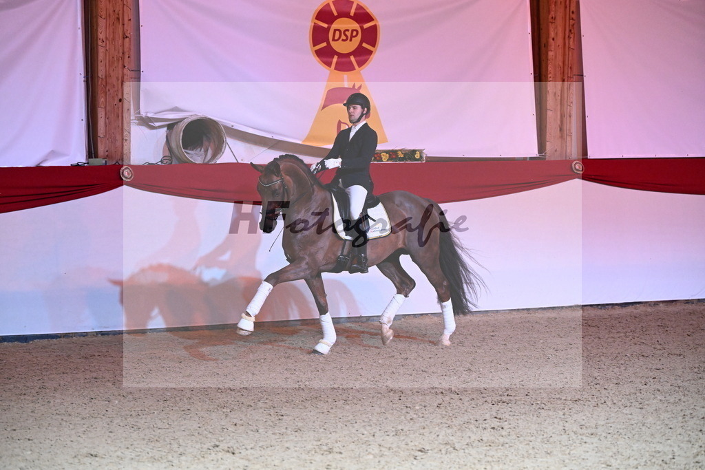 Feliciano_Wadenspanner_2254441 | hf-fotografie - Realisiert mit Pictrs.com