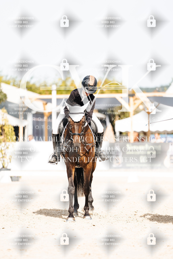 CK905325 | Turnierfotografie Pferdefotografie Trier Rheinland-Pfalz Pferdesport Reitsport Tierfotografie Sportfotografie Pferdevideo Pferdevideografie Equestrianvideography equestrianphotography  - Realisiert mit Pictrs.com