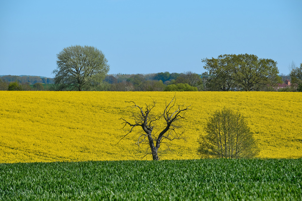 DSCF8232 | Entdecken Sie hochwertige Fotoprodukte für Ihr Zuhause, Büro oder als besonderes Geschenk.rpixel.de bietet Ihnen exklusive Fotografien aus den Bereichen Natur, Landschaft und Motiven vom Meer.Einfach direkt im Online-Shop bestellen. - Realisiert mit Pictrs.com