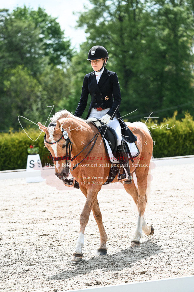 20230514_JK-Röhrsdorf-19-170 | Pferde- und Turnierfotografie in Westsachsen. Pferdeportraits, Auftragszeichnungen und intuitive Kunst.