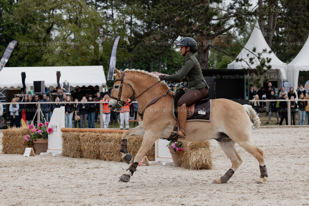 PI26_SP_StoibphotographyC2_C0317.jpg | working equitationturnier fotograf videograf stoibphotography marixx film working equitation deutschland reitsport turnierfotografie eventfotografie equestrian events