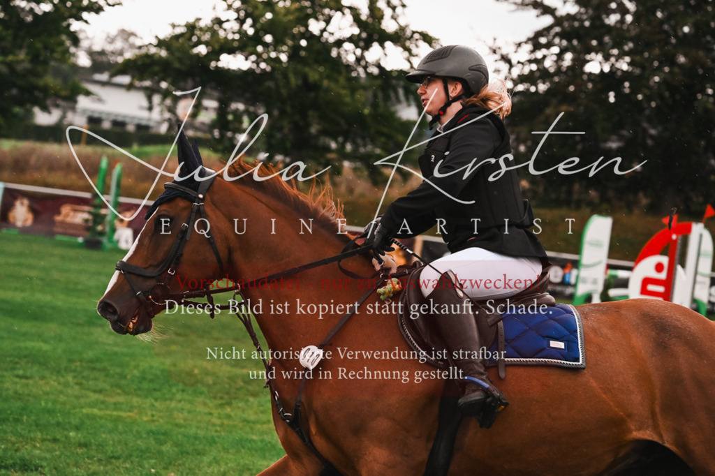 DSC_6087 | Pferde- und Turnierfotografie in Westsachsen. Pferdeportraits, Auftragszeichnungen und intuitive Kunst.