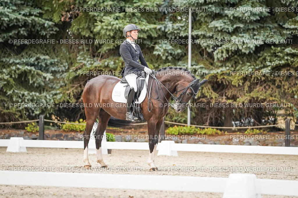 DSC09041 | Pferdegrafie