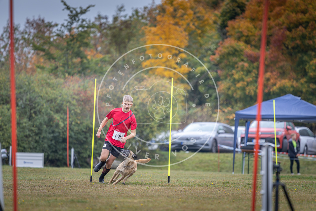 Pfotenfotografie_DV3A1164 | Hundefotografie, Tierfotograf, Pfotenfotografie, Fotoshooting Hund, Hunde Portrait, Hundesport, Hundeportraits, Heideshooting, Hunde, Sportfotograf, Hundefotograf, Turnierhundsport, THS,  - Realisiert mit Pictrs.com