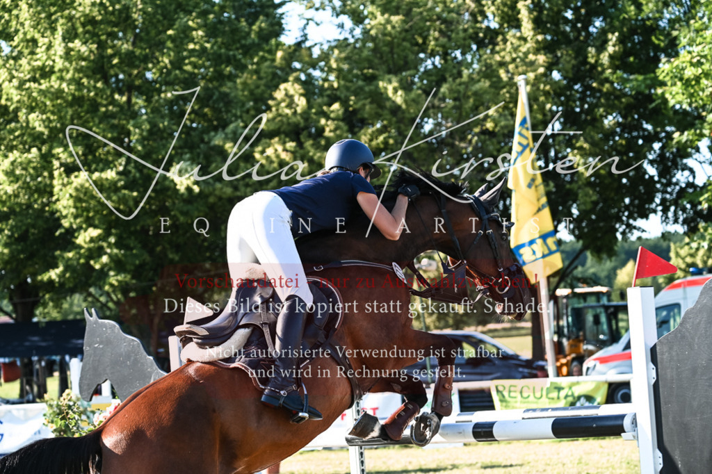 DSC_2978 | Pferde- und Turnierfotografie in Westsachsen. Pferdeportraits, Auftragszeichnungen und intuitive Kunst.
