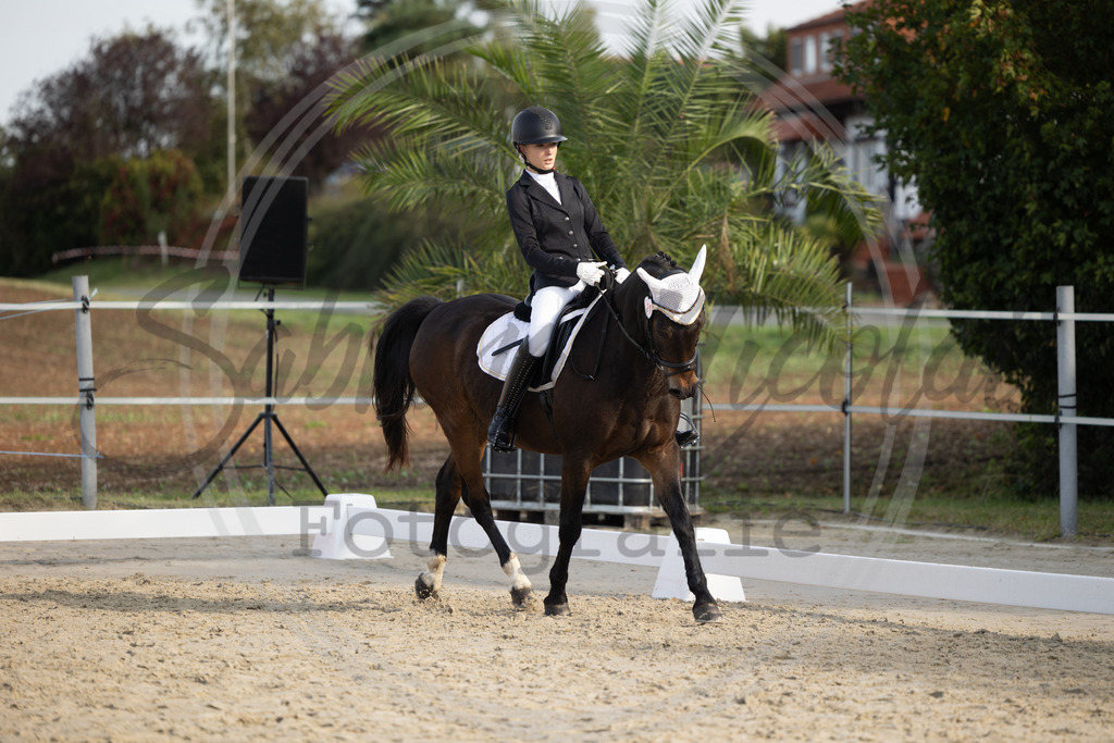 994A1190 | sabrinanicolaifotografie - Realisiert mit Pictrs.com