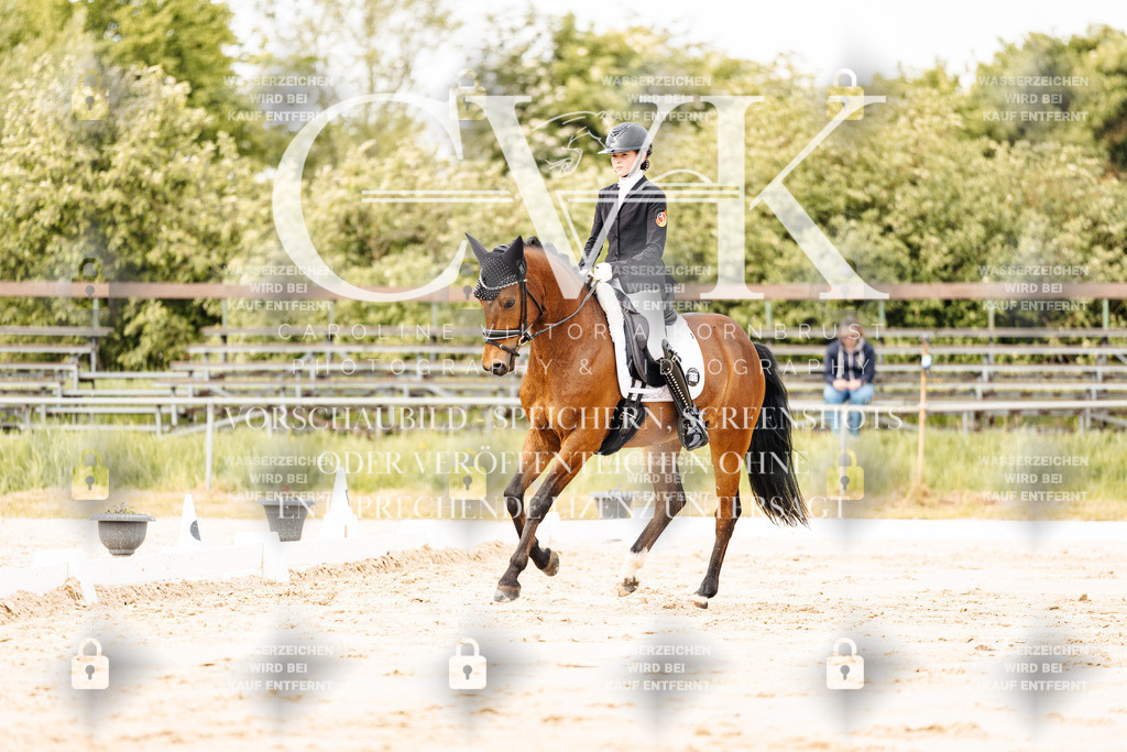 CK900898 | Turnierfotografie Pferdefotografie Trier Rheinland-Pfalz Pferdesport Reitsport Tierfotografie Sportfotografie Pferdevideo Pferdevideografie Equestrianvideography equestrianphotography  - Realisiert mit Pictrs.com