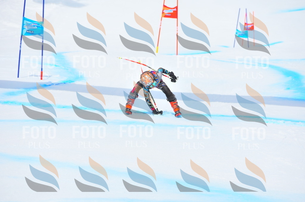 DSC_2132 | holidayphoto