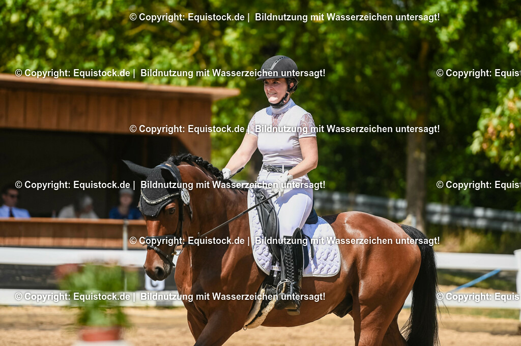 20230715_02_Dressurreiterprüfung Kl.L_0222 | equistock