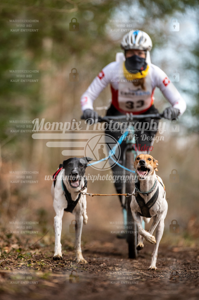 Reiat2023_SAM_DS2_5km_2H-4 | PayLife