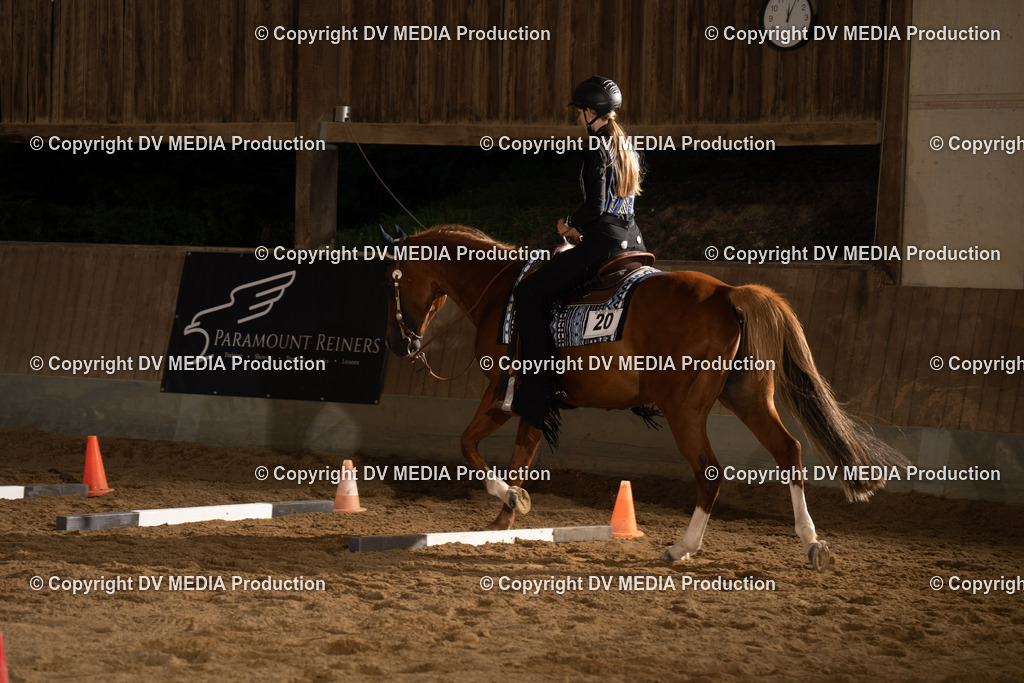 NE101416 | dv-media-shop - Realisiert mit Pictrs.com