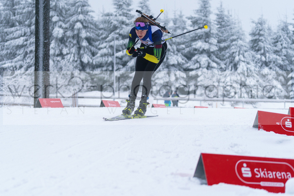 DP Oberwiesenthal | Alpencup/DP Deutschlandpokal in Oberwiesenthal am 15.-17.12.2023