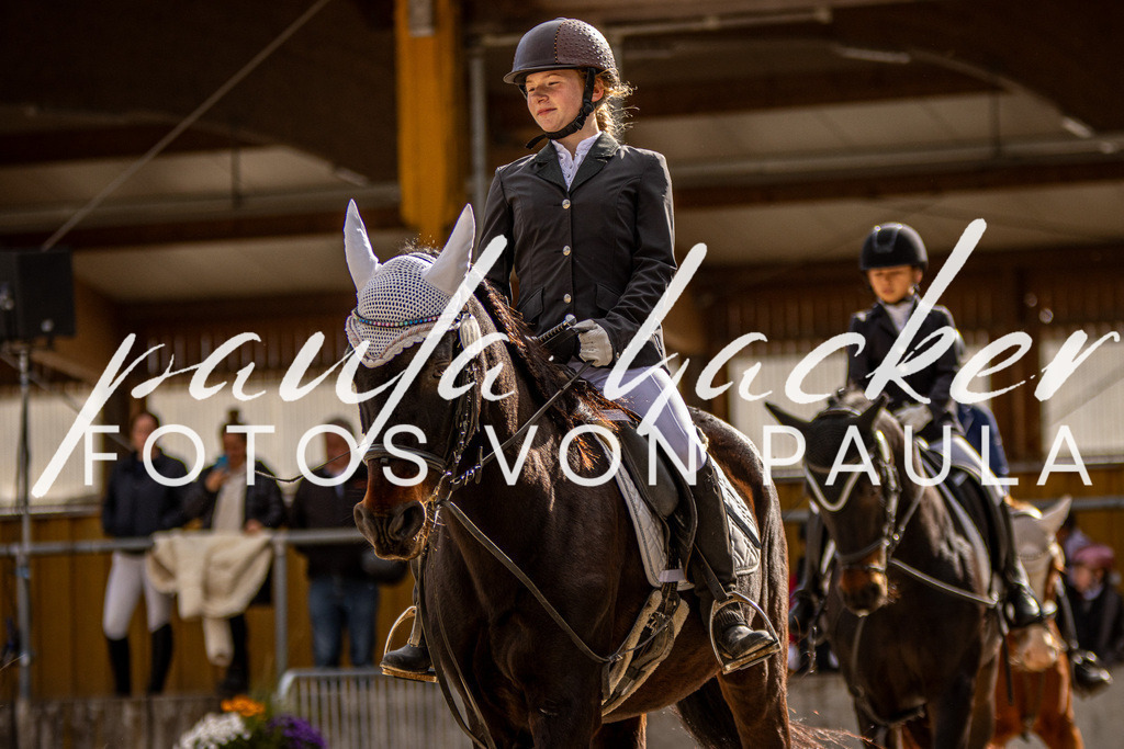 IMG_3748 | Erleben Sie dynamische Sport- und emotionale Tierfotografie in Süddeutschland mit Fotos von Paula. Spezialisiert auf Pferde- und Hundefotografie sowie Sportevents. Kontaktieren Sie mich für einzigartige und ausdrucksstarke Bilder Ihrer besonderen Momente. - Realisiert mit Pictrs.com