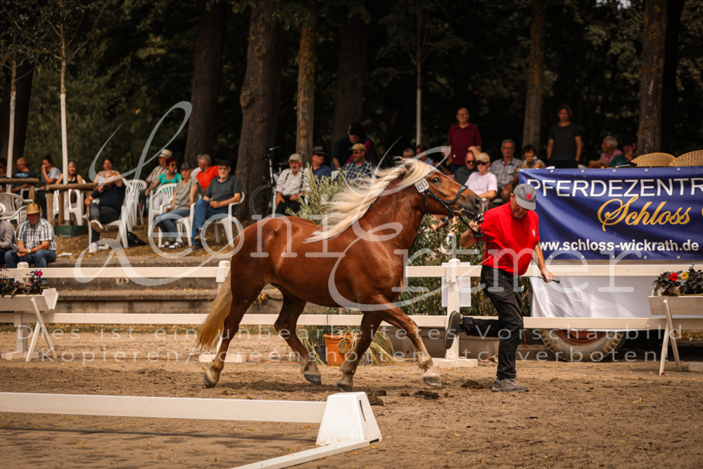 5.Sa00041 | Leoni Ertmer Photography - Realisiert mit Pictrs.com