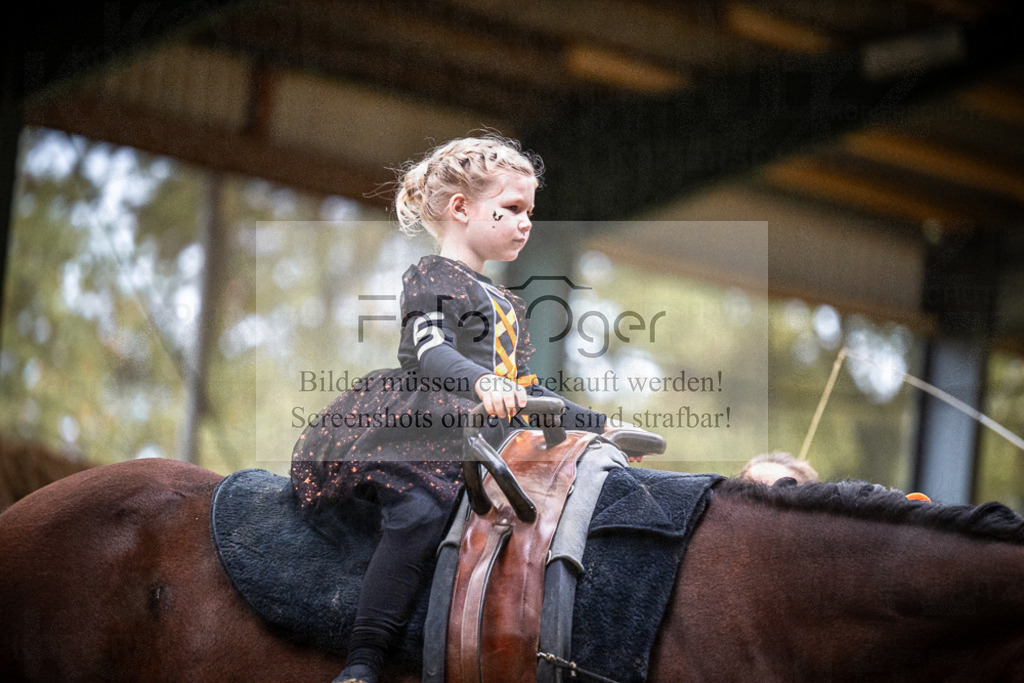 DOS_0106 | Entdecke hochwertige Reitturnierfotos von Foto Oger. Professionell, emotional und authentisch – jetzt Lieblingsmomente im Shop bestellen.Deutschlandweite Turnierfotografie. - Realisiert mit Pictrs.com