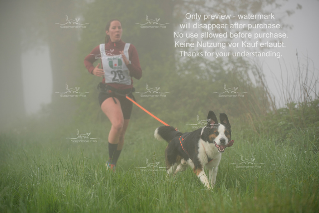 SA_GL2-141 | stephaniefillaphotographie - Realisiert mit Pictrs.com