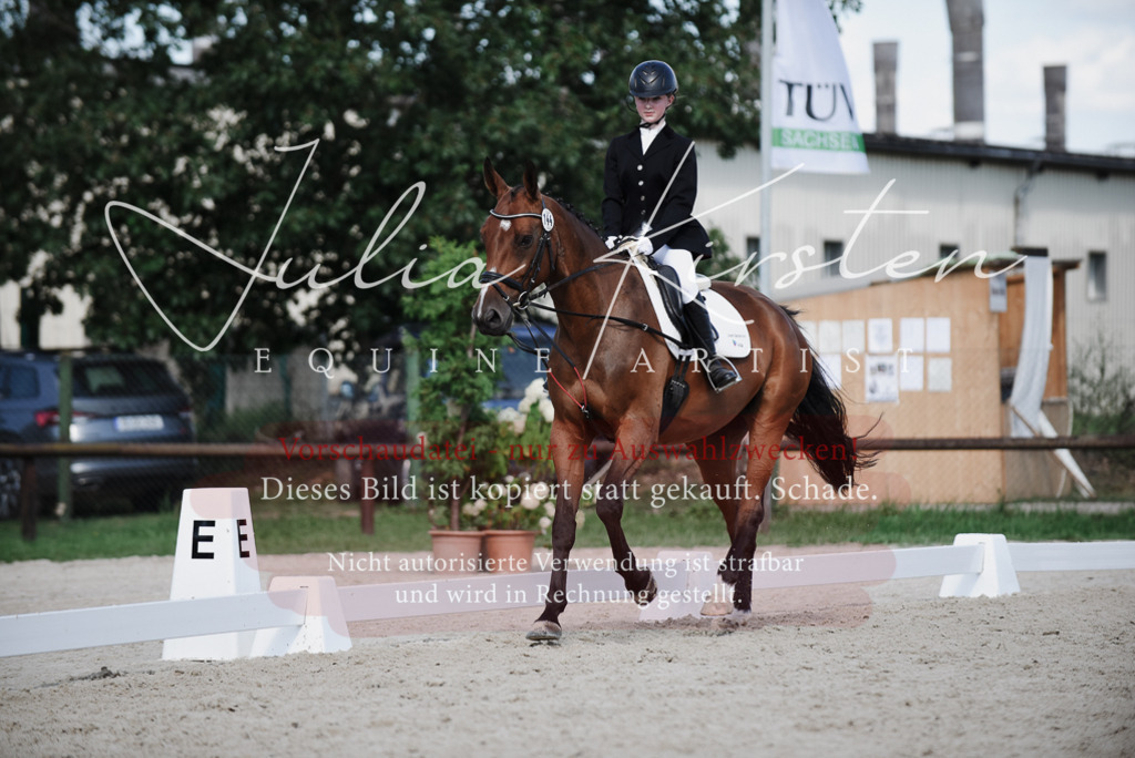 DSC_9989 | Pferde- und Turnierfotografie in Westsachsen. Pferdeportraits, Auftragszeichnungen und intuitive Kunst.