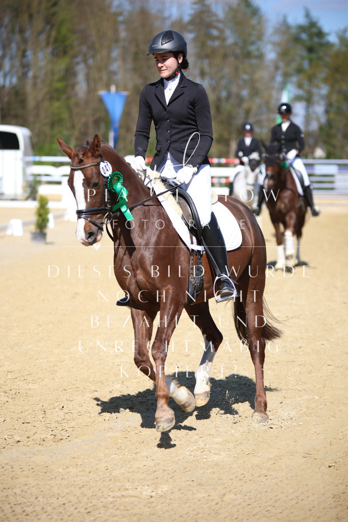 IMGT8223 | pl-fotografie