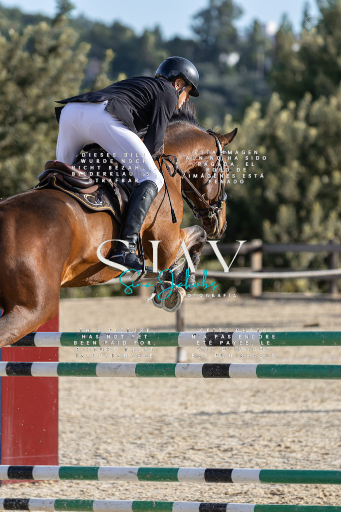 IMG_0349 | s-jay-photography - Realisiert mit Pictrs.com