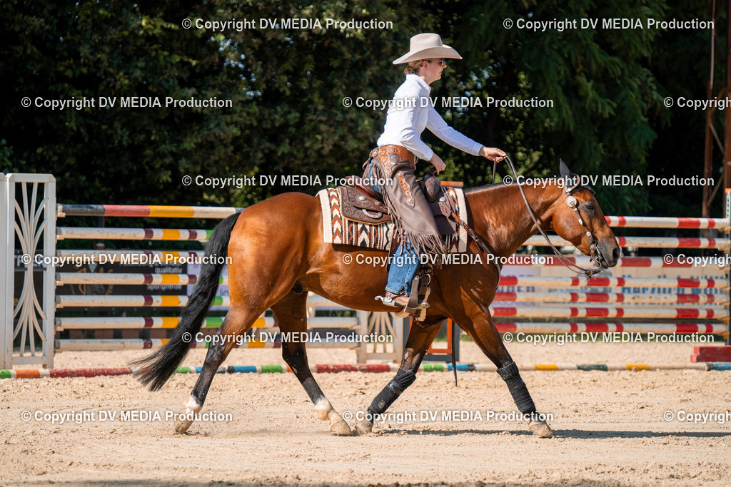 ZH100758 | dv-media-shop - Realisiert mit Pictrs.com