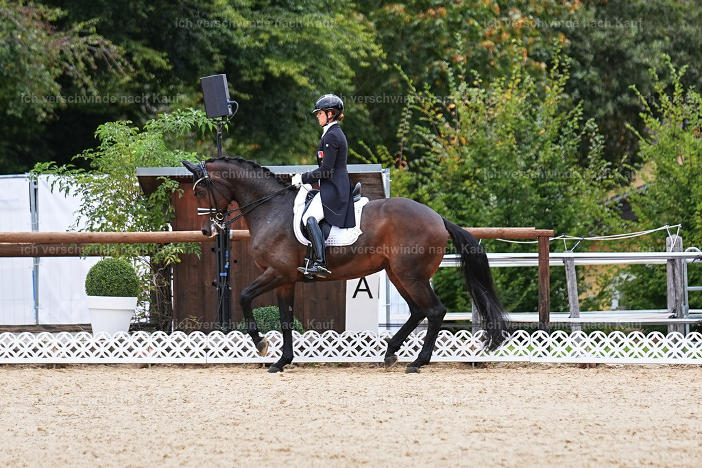 11-110-Dressur S___-Marixx-1550 | working equitationturnier fotograf videograf stoibphotography marixx film working equitation deutschland reitsport turnierfotografie eventfotografie equestrian events