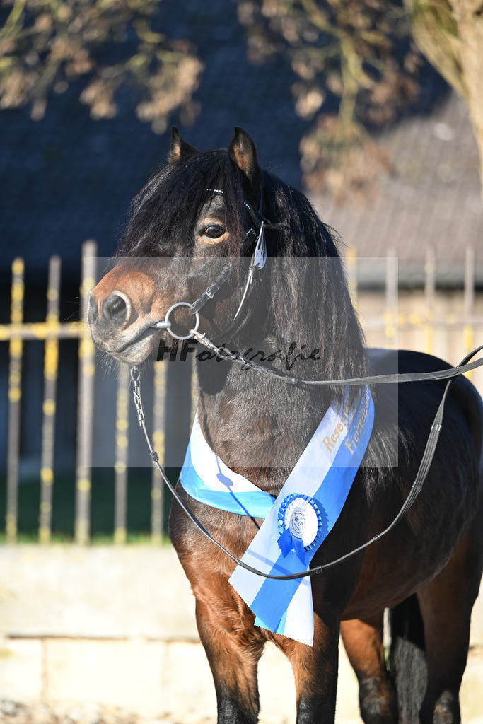 Kat-Nr. 19 Hells Hadrian v. Hells Bells_Guenthner_49250880 | hf-fotografie - Realisiert mit Pictrs.com