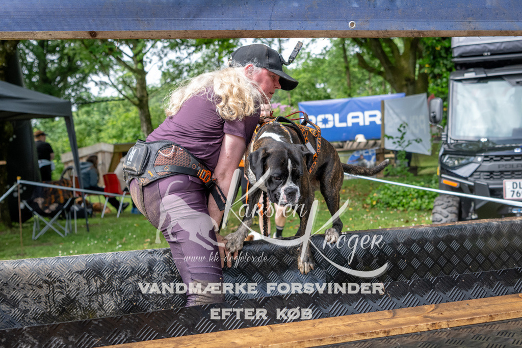 1032_ZZ91192 | kk-dogfotos