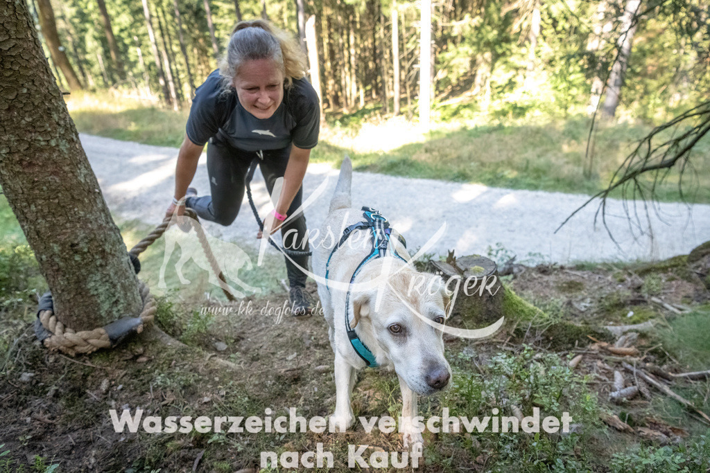 1202_ZZ93140 | kk-dogfotos