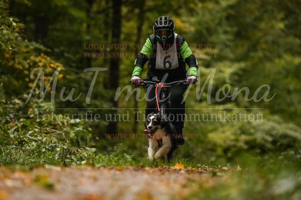 20251005_THS_Turnier-94 | MuT (Mensch und Tier) mit Mona - Fotografie und Tierkommunikation - Realisiert mit Pictrs.com