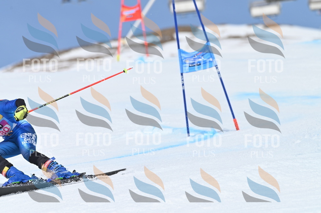 BGV_2414 | holidayphoto